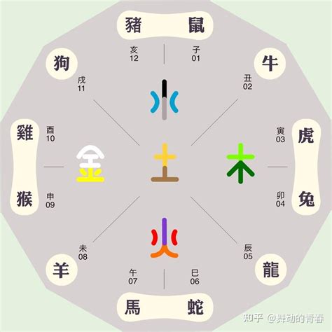 金木水火土 生肖|12生肖对应的五行你知道吗？最金木水火土的又是谁？。